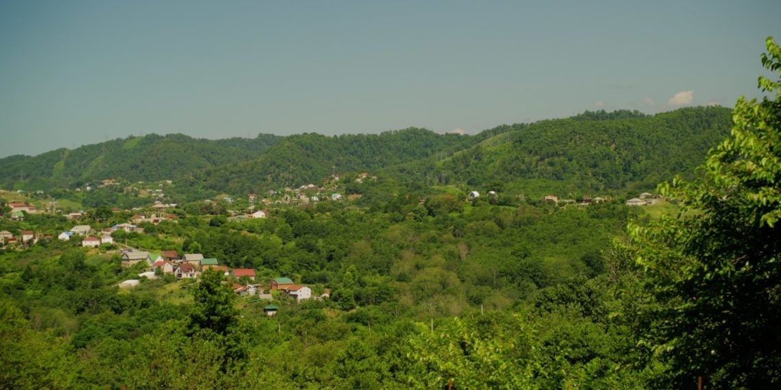 Энергетики напомнили собственникам о необходимости правильного содержания электросетей СНТ