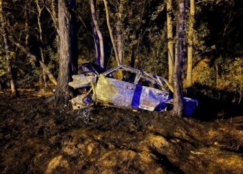 Три девушки сгорели заживо в «ВАЗе» после столкновения с деревом на Кубани