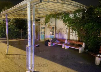 Врачи оставили больную 83-летнюю бабушку умирать на улице в Краснодаре