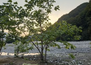 «Поступили новые данные»: метеорологи переиграли прогноз на октябрь на Кубани