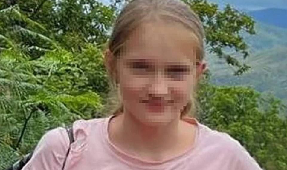 Что известно о тестах ДНК, которые взяли у жителей Кубани из-за убийства девочки