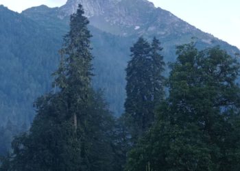 Экстрасенс нашла убийц 12-летней девочки в хуторе на Кубани