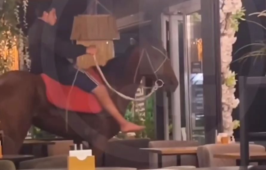 В Сочи пьяный мужчина на лошади ворвался в кафе