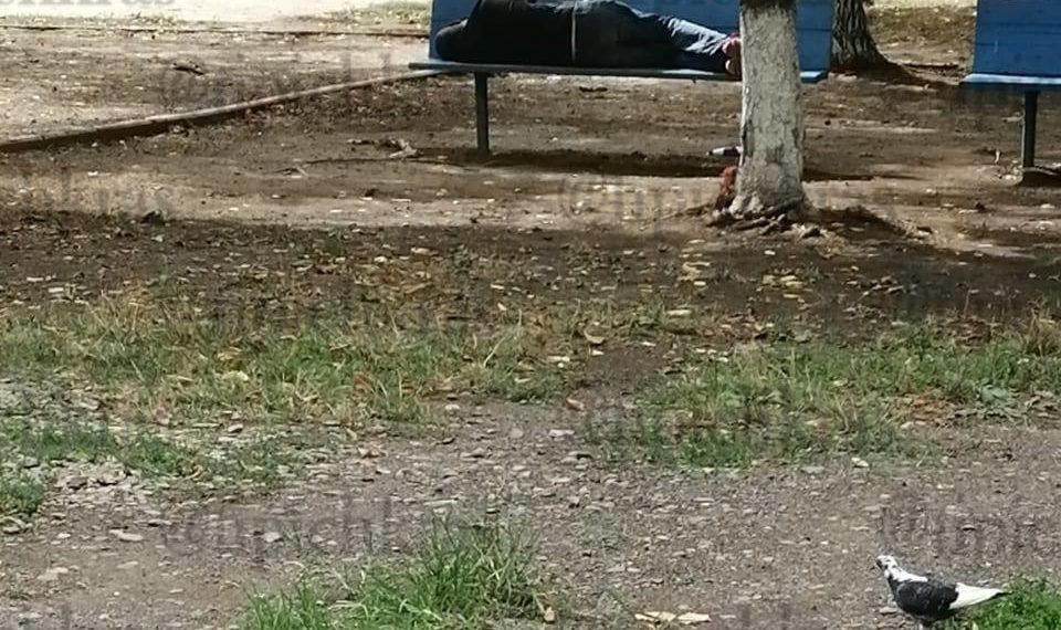 В Краснодаре спавший на лавочке мужчина оказался мертв