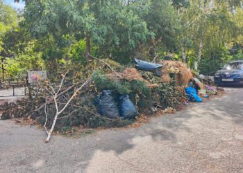 Жителей Краснодара повергло в шок состояние Славянского кладбища