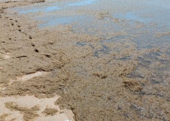 Полный песец прогнозируют синоптики в среду и четверг в Краснодарском крае