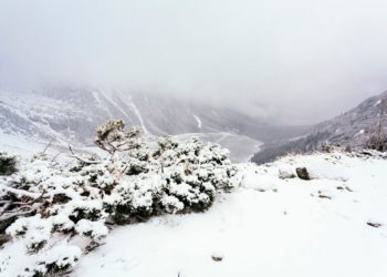 Синоптики предупредили жителей Краснодарского края о сумасшедшей зиме