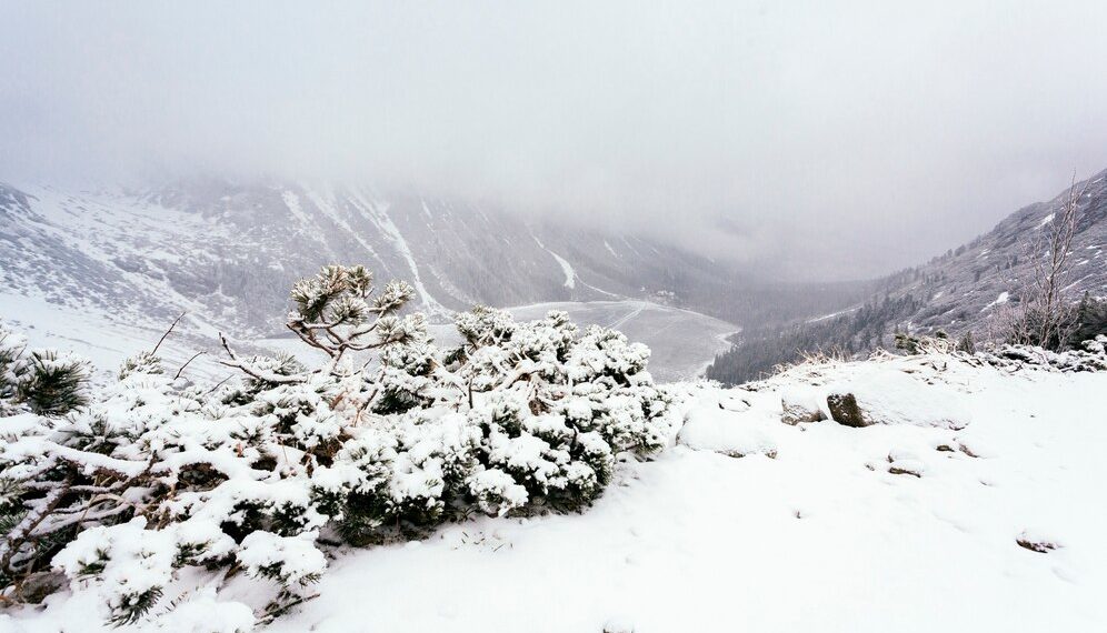 Синоптики предупредили жителей Краснодарского края о сумасшедшей зиме