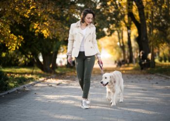 Жителей Кубани начнут штрафовать за неправильный выгул собак