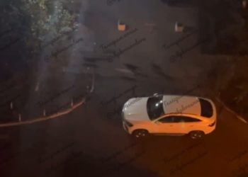 В Краснодаре стая собак напала на девушку