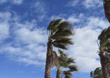 В Сочи ожидаются порывы ветра до 17 м/с 9 сентября