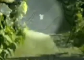 Пьяный водитель протаранил забор и напал на детей в краснодарском поселке