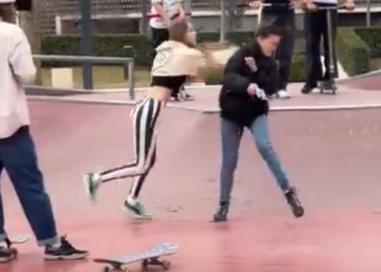 Драка двух женщин из-за ребенка в парке Галицкого в Краснодаре попала на видео