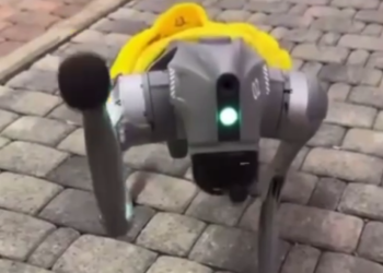 Будущее наступило: в Сочи посетителей Красной Поляны приветствует робопес