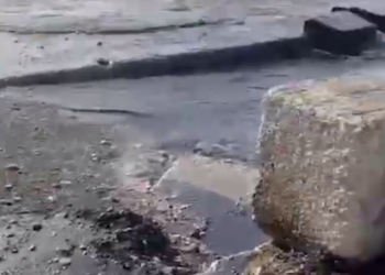 В Туапсинском районе Кубани на пляже и в море разлилась нефть на 700 «квадратах»