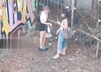 В Краснодаре две девушки у гаражей устроили шоу с трусиками на камеру телефона