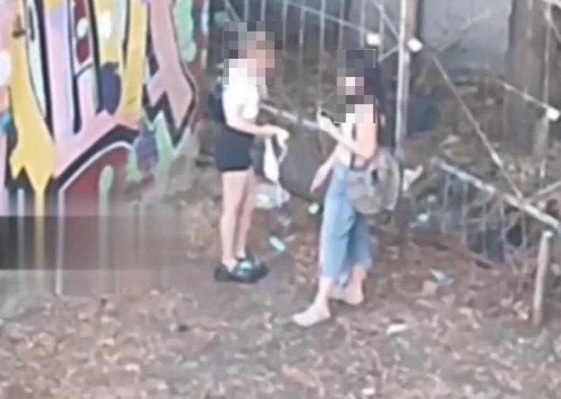 В Краснодаре две девушки у гаражей устроили шоу с трусиками на камеру телефона