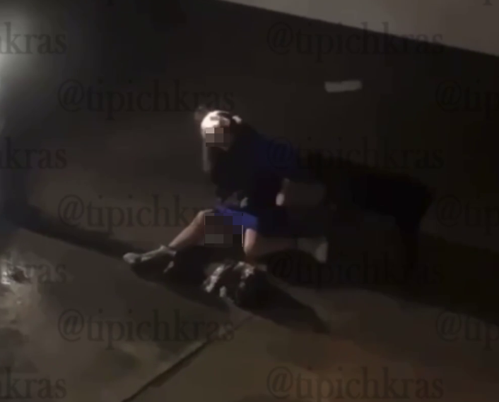 В Сочи собаки повалили женщину на землю и искусали