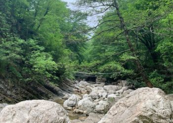 Туристы заблудились в Агурском ущелье в Сочи