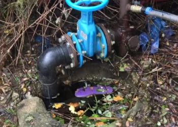 Сочинцы больше года жалуются на болото из питьевой воды