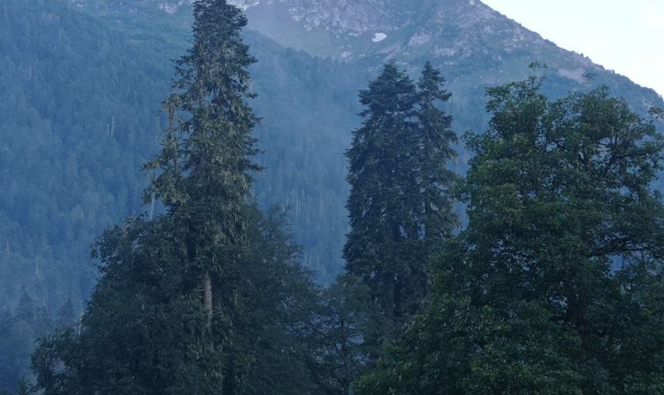 Синоптики круто изменили прогноз на неделю с 28 октября по 3 ноября на Кубани