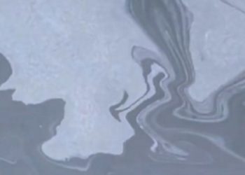 Сингапурская компания выплатит 138 млн рублей за разлив нефти в Новороссийске