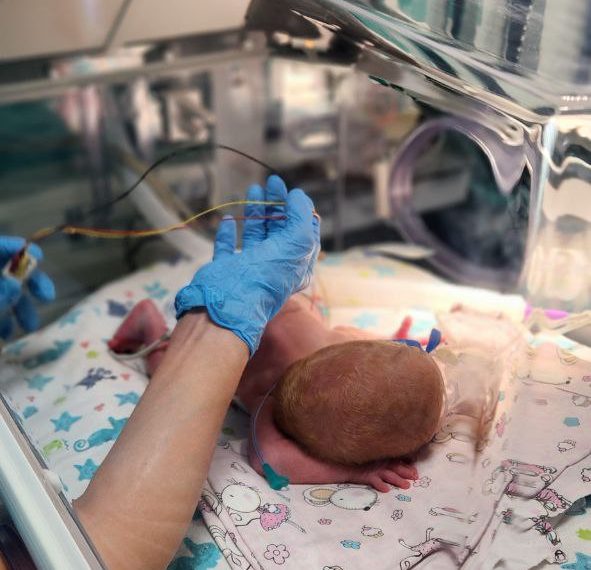 У жительницы Кубани родились сразу два мальчика