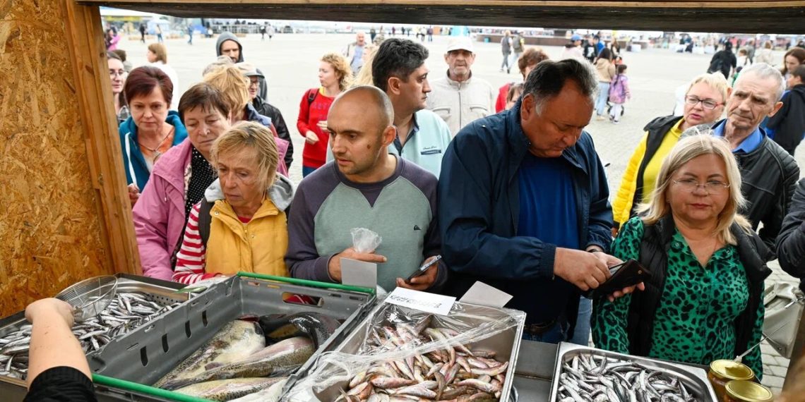 Эксперт Атанов рассказал, когда на Кубани начнется сезон ловли хамсы