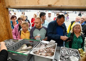 Эксперт Атанов рассказал, когда на Кубани начнется сезон ловли хамсы