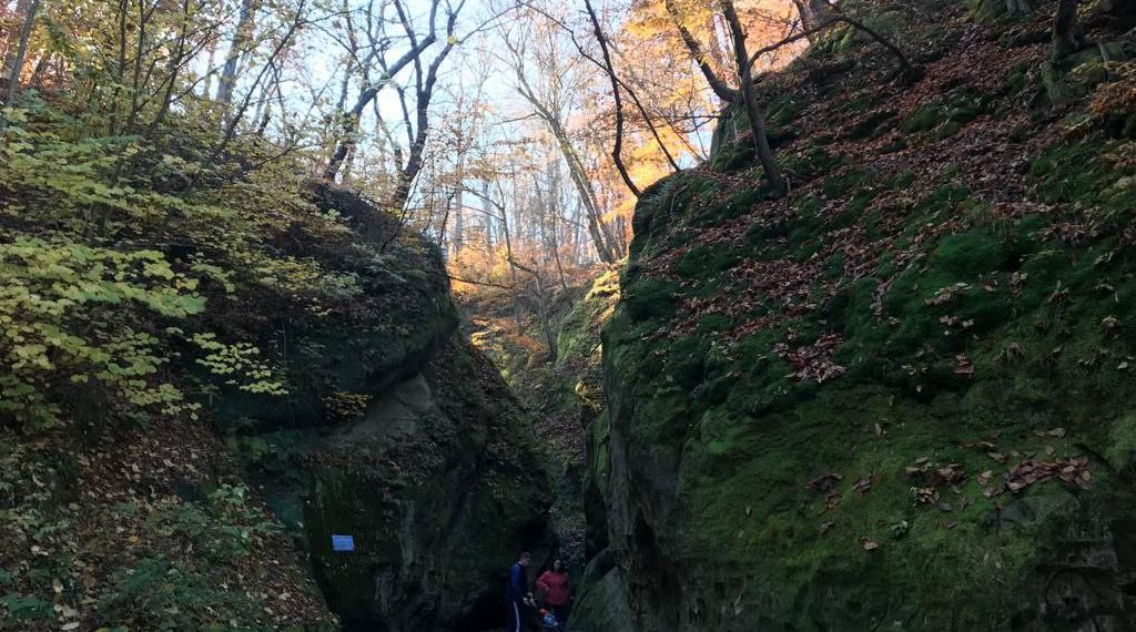 Метеорологи рассказали о неожиданном начале ноября в Краснодарском крае