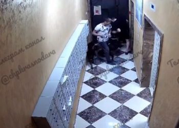 В Краснодаре собака без намордника покусала мужчину