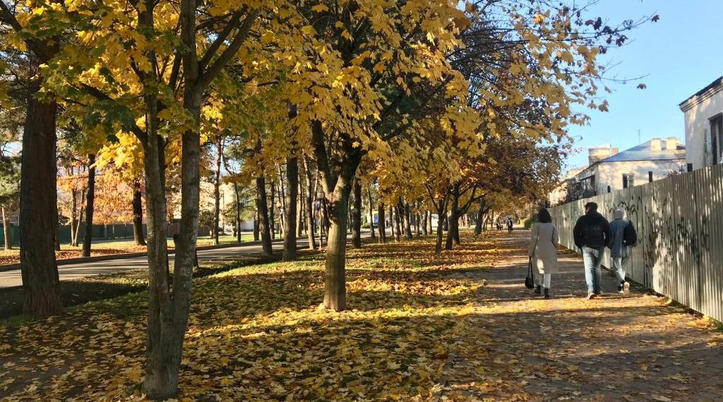 Дождь и мокрый снег: прогноз погоды на 25 октября в Краснодарском крае