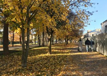 Дождь и мокрый снег: прогноз погоды на 25 октября в Краснодарском крае