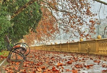 Стало известно, сколько стоит отдохнуть осенью в Сочи