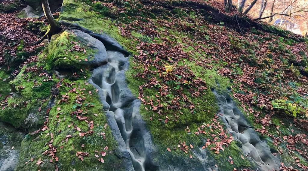 Прогноз погоды на выходные дни 26 и 27 октября 2024 года в Краснодарском крае