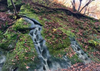 Прогноз погоды на выходные дни 26 и 27 октября 2024 года в Краснодарском крае