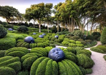 В парке Галицкого установят арт-объект из французского «Сада эмоций»