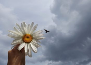 Синоптик Шувалов: Кубань ждут “плачущие” выходные и понижение температуры