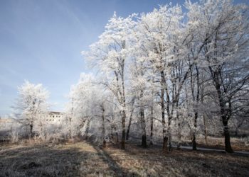 Ноябрь и декабрь в Краснодарском крае будут сумасшедшими