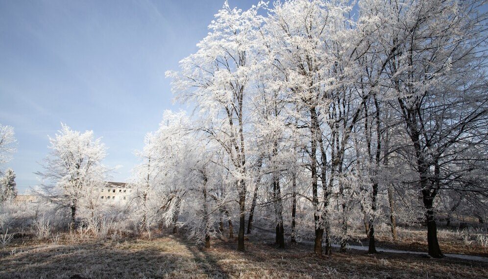 Ноябрь и декабрь в Краснодарском крае будут сумасшедшими