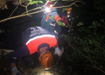 Спасающийся от медведя сочинец упал со скалы на ветки деревьев