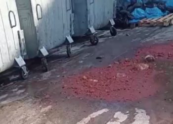 В Сириусе устроили свалку с гнилым мясом и залили кровью асфальт