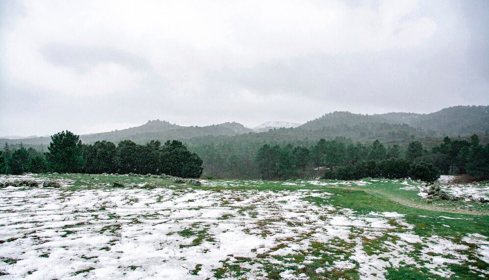 Стало известно, когда на Кубани может выпасть первый снег в 2024 году