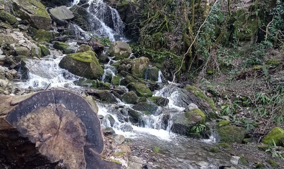 Погода приготовила неприятный сюрприз на этой неделе в Краснодарском крае