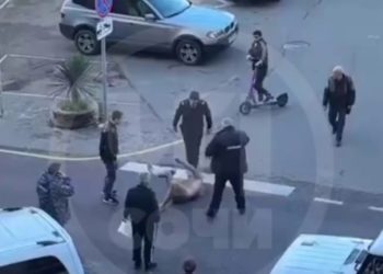 В Сочи полуголый мужчина кричал и кидался на машины