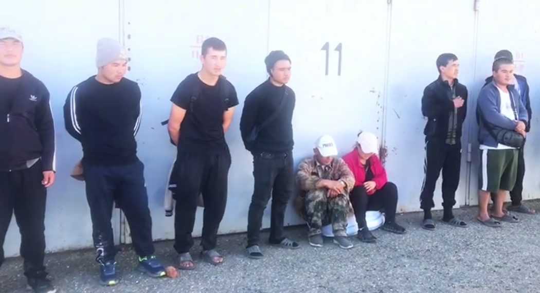 В Краснодарском крае задержали 14 нелегальных мигрантов