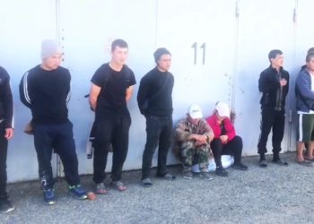 В Краснодарском крае задержали 14 нелегальных мигрантов