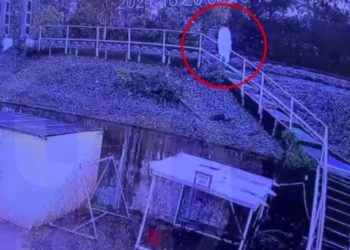 В Сочи голый мужчина в простыне чуть не попал под поезд