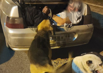 На Кубани вероятного поджигателя предприятия скрутили и засунули в багажник авто