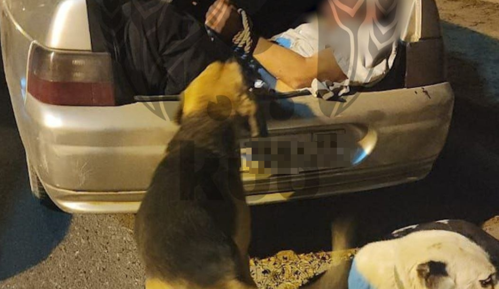 На Кубани вероятного поджигателя предприятия скрутили и засунули в багажник авто